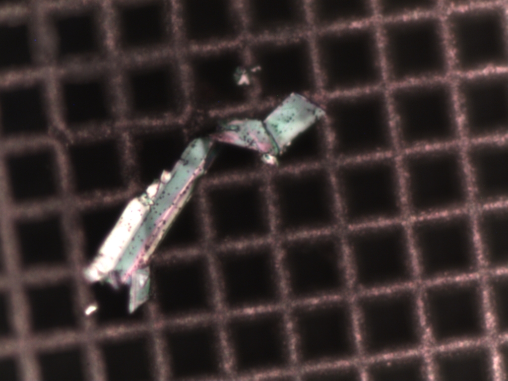 Refer to caption