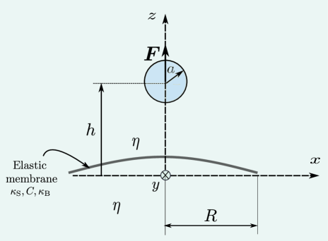 Refer to caption