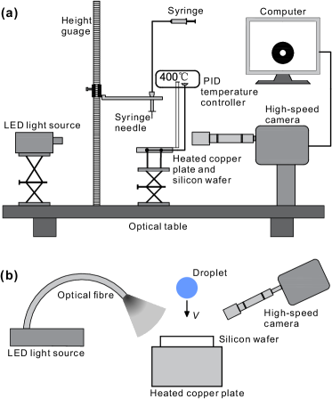 Refer to caption