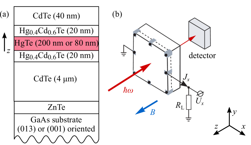Refer to caption