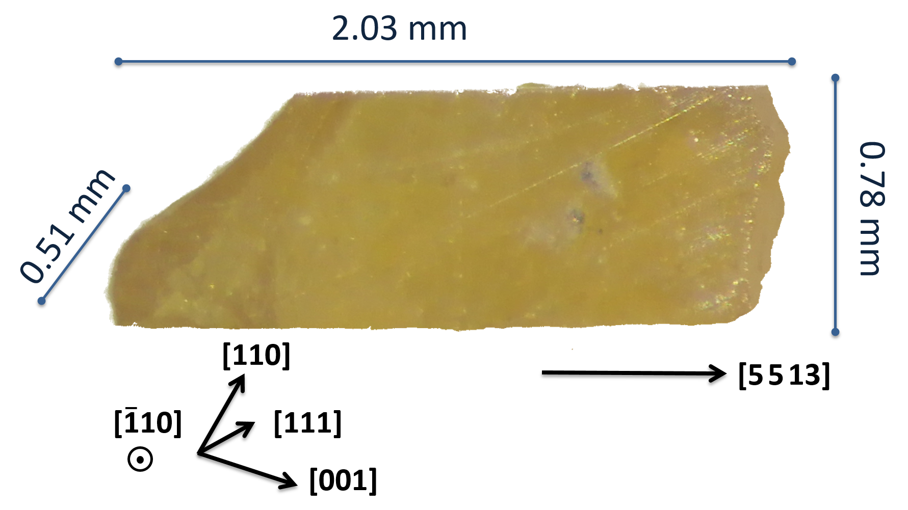 Refer to caption