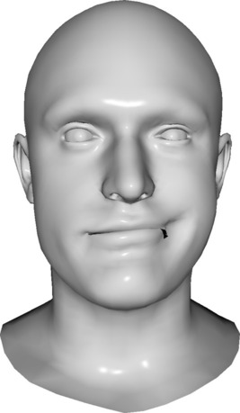 Refer to caption