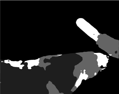 Refer to caption