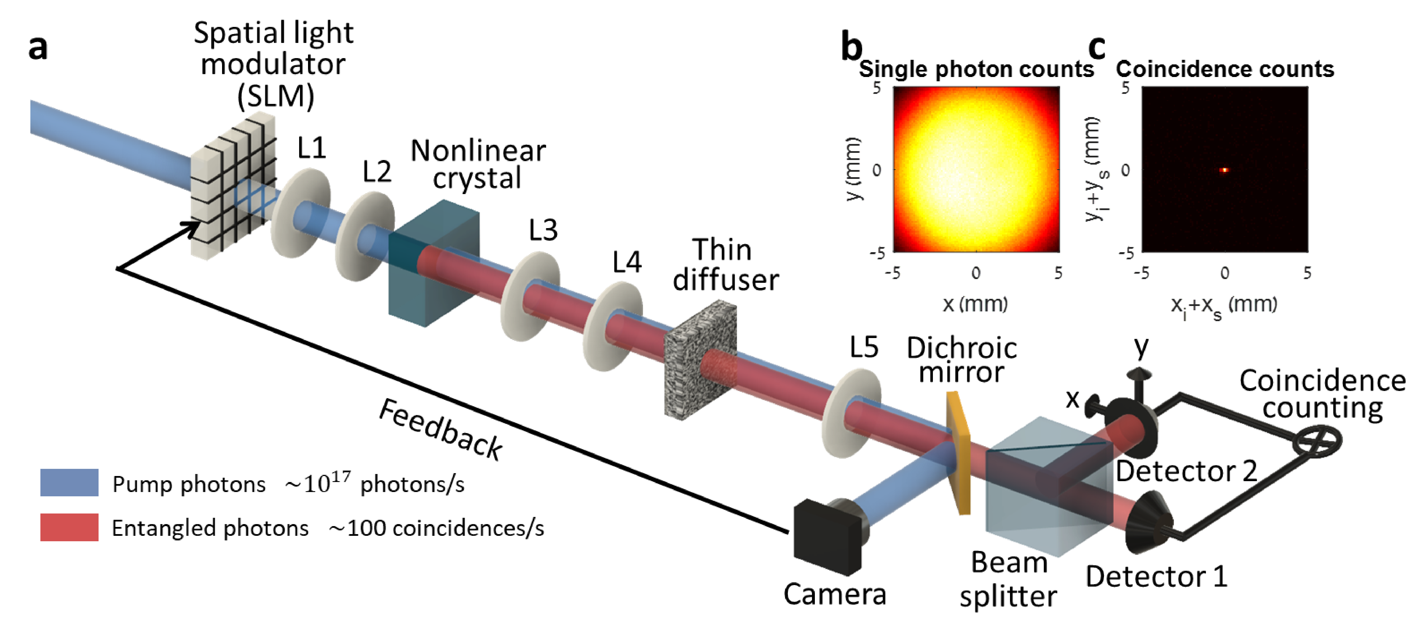 Refer to caption