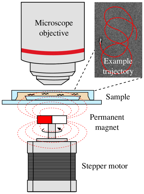 Refer to caption