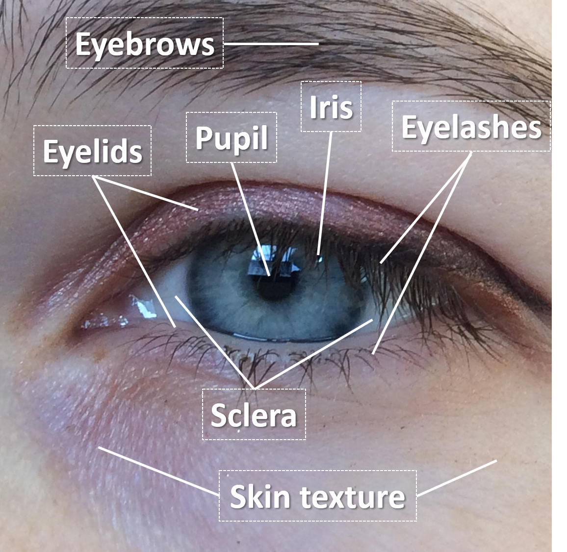 Refer to caption