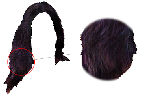 Refer to caption