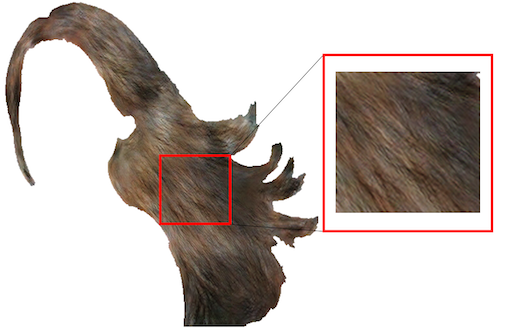 Refer to caption