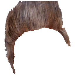 Refer to caption