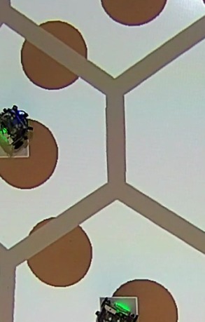 Refer to caption