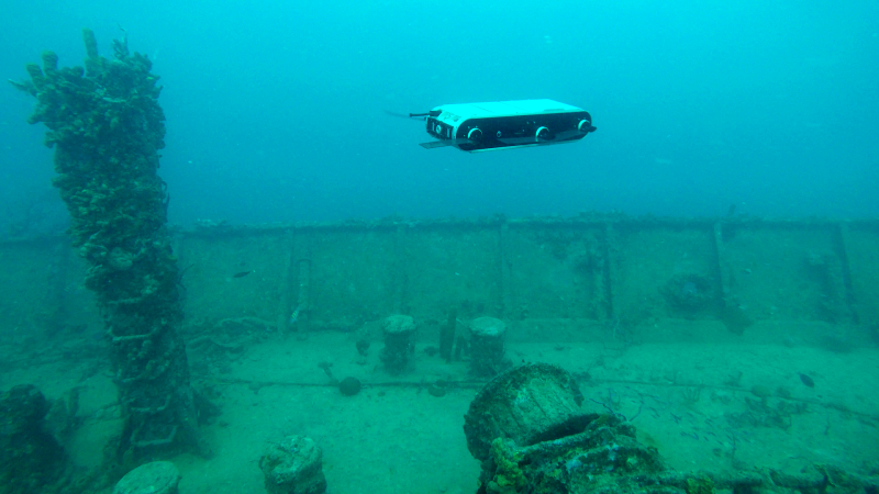 Refer to caption
