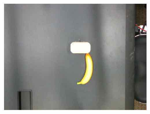 [Uncaptioned image]
