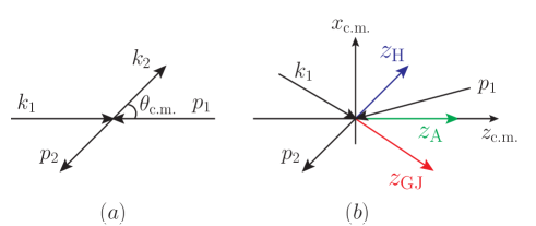 Refer to caption