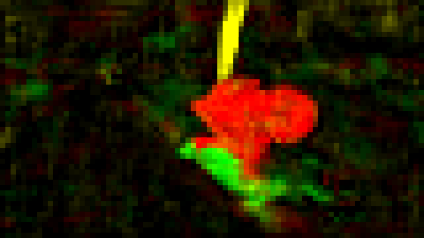 Refer to caption