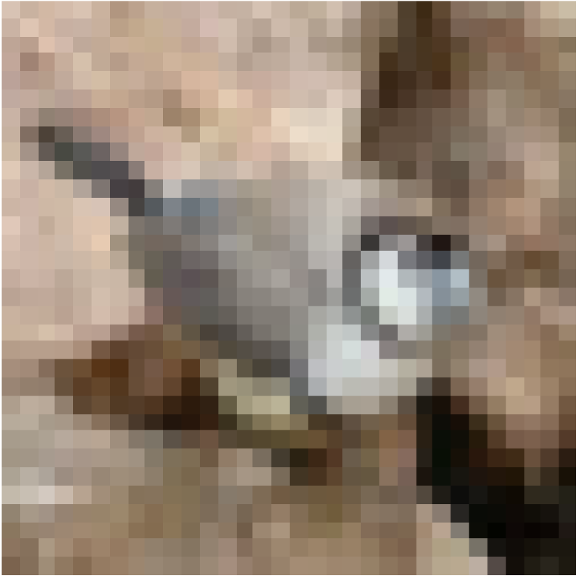 Refer to caption