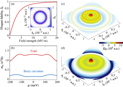 Refer to caption