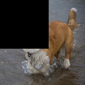 [Uncaptioned image]