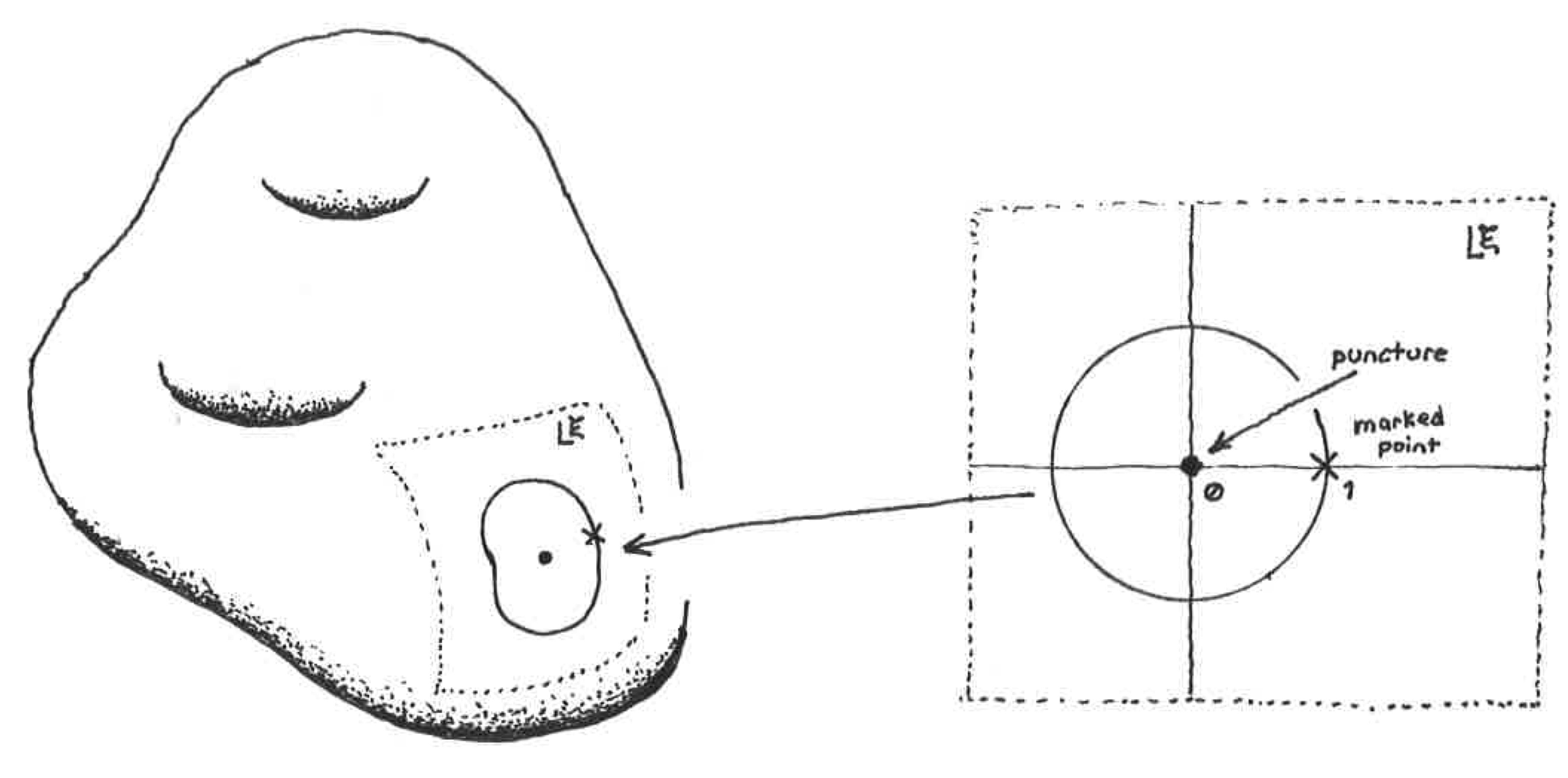 [Uncaptioned image]