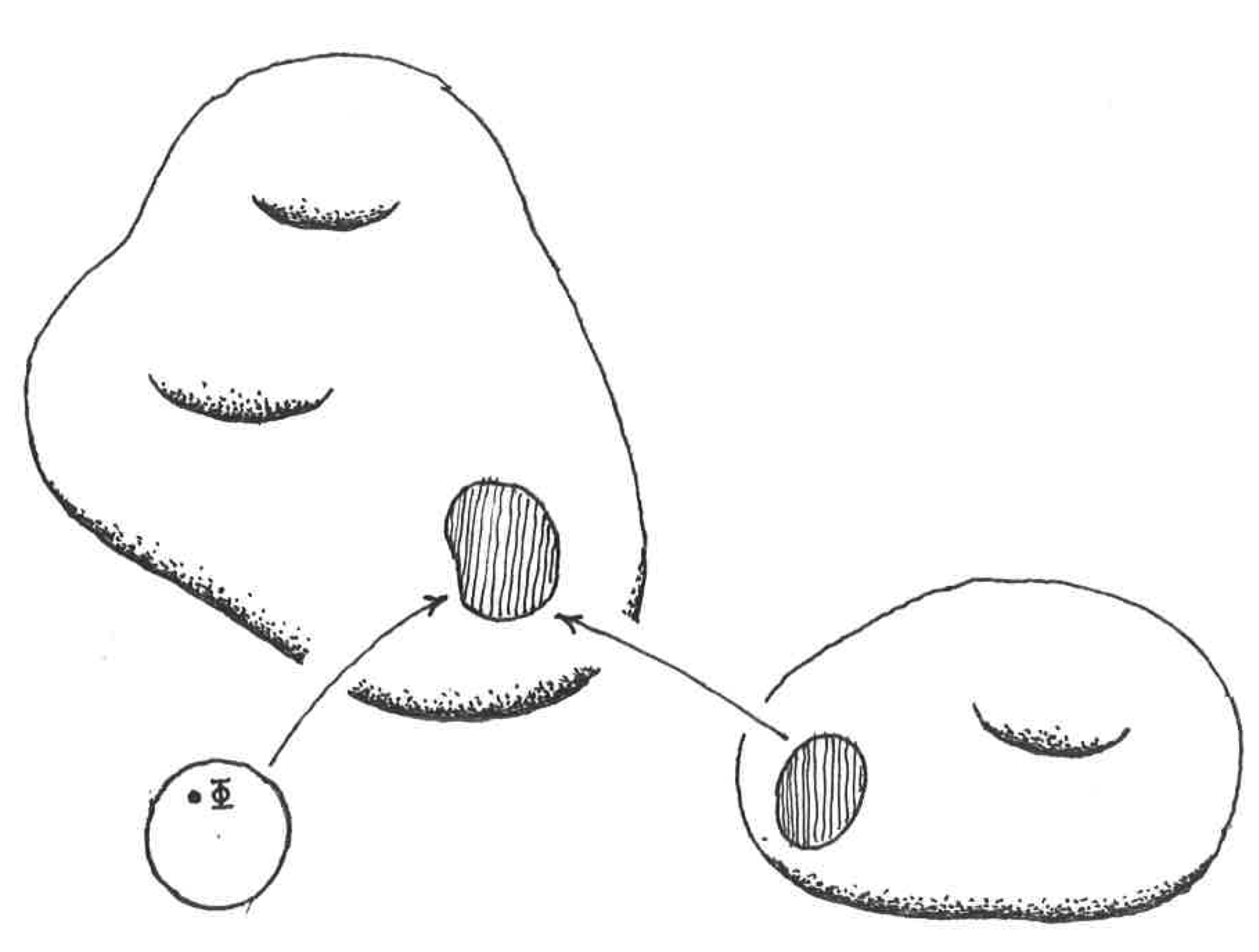 [Uncaptioned image]