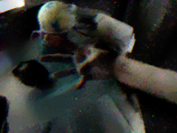 Refer to caption