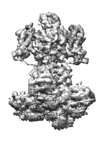 Refer to caption