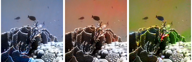 Refer to caption