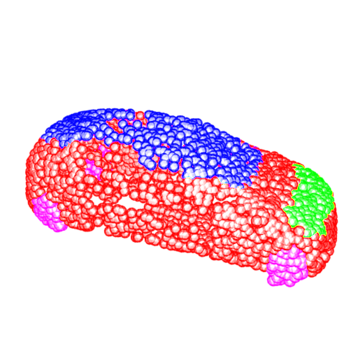 Refer to caption