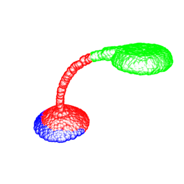 Refer to caption