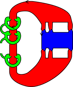 Refer to caption
