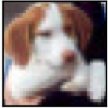 [Uncaptioned image]