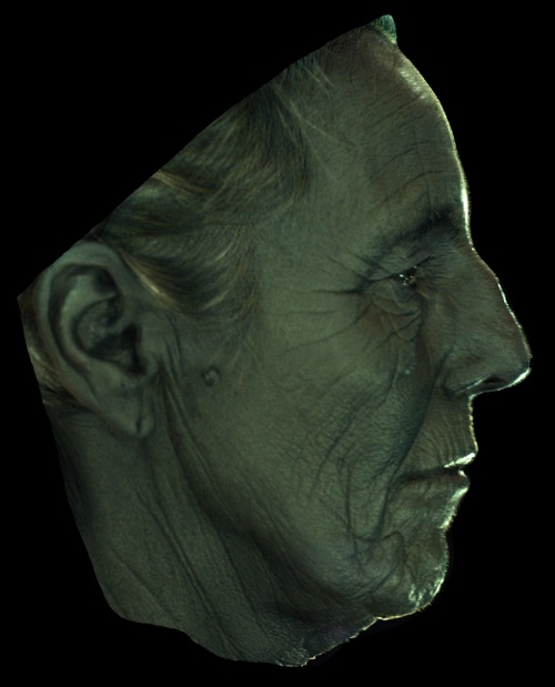 Refer to caption