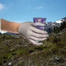 Refer to caption