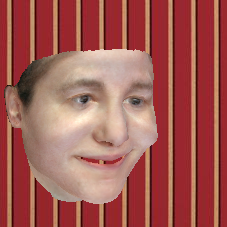 Refer to caption