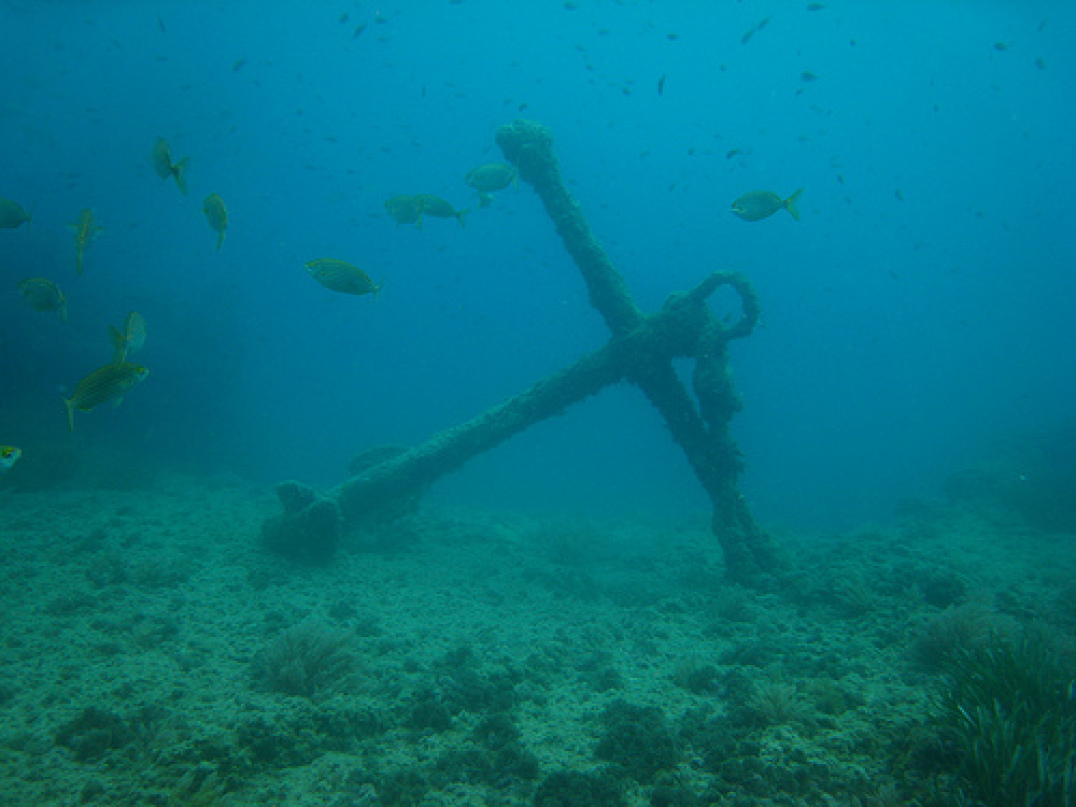 [Uncaptioned image]