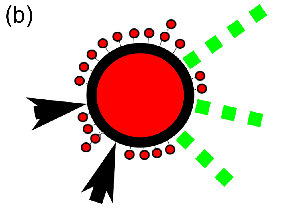 Refer to caption