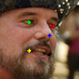Refer to caption
