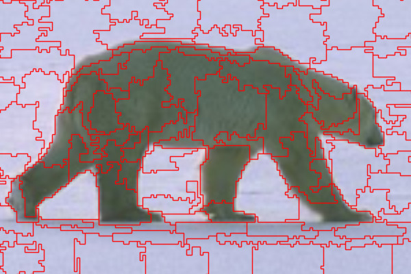 Refer to caption