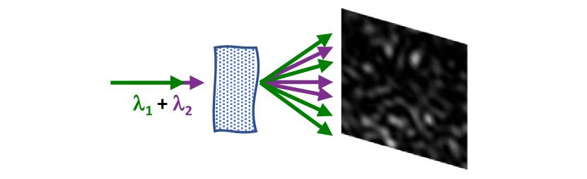 [1910.13411] Femtometerresolved simultaneous measurement of multiple