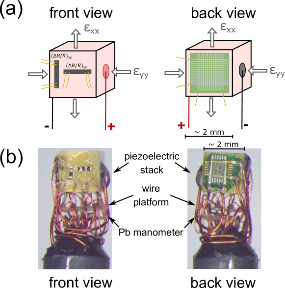 Refer to caption