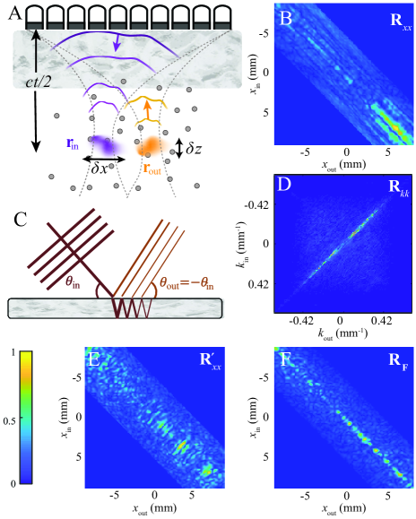 [1912.05417] Distortion matrix approach for ultrasound imaging of ...