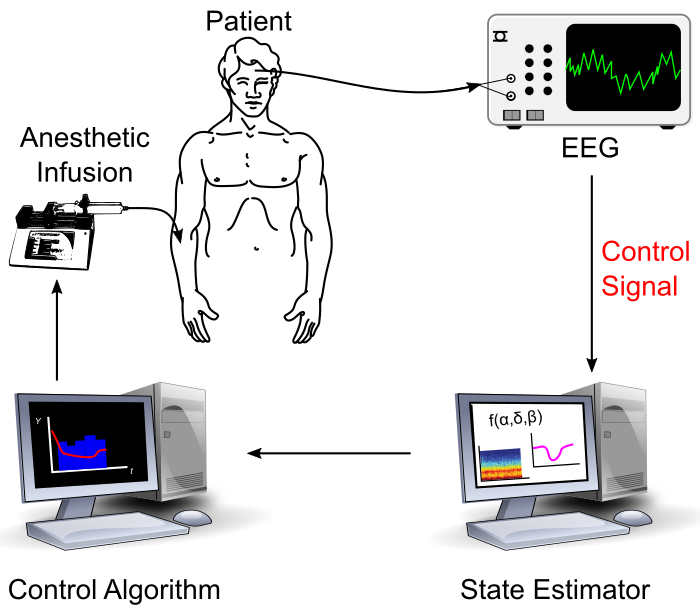 1912.08144 Constructing a control ready model of EEG signal