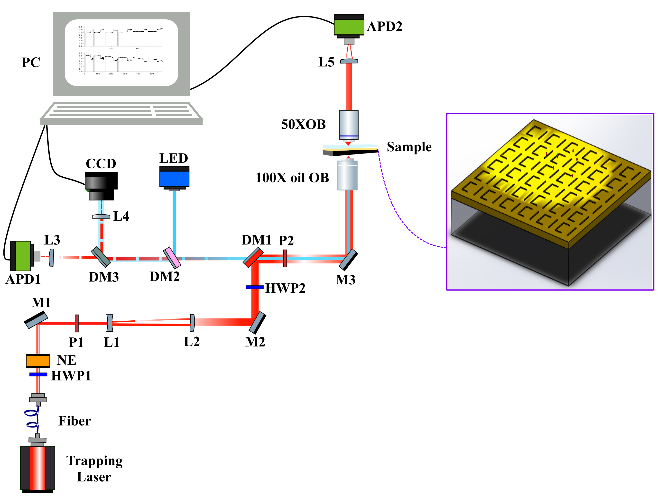 Refer to caption