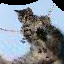[Uncaptioned image]