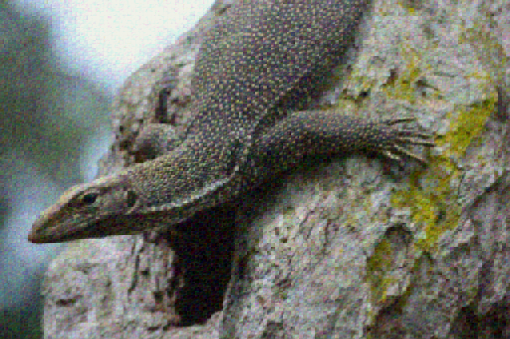 Refer to caption
