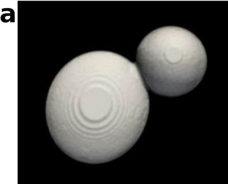 Refer to caption