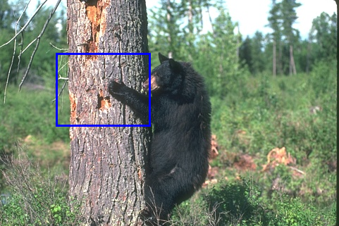 Refer to caption