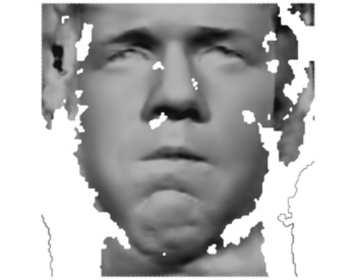 Refer to caption