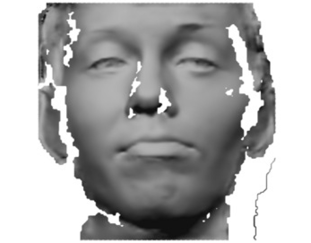 Refer to caption