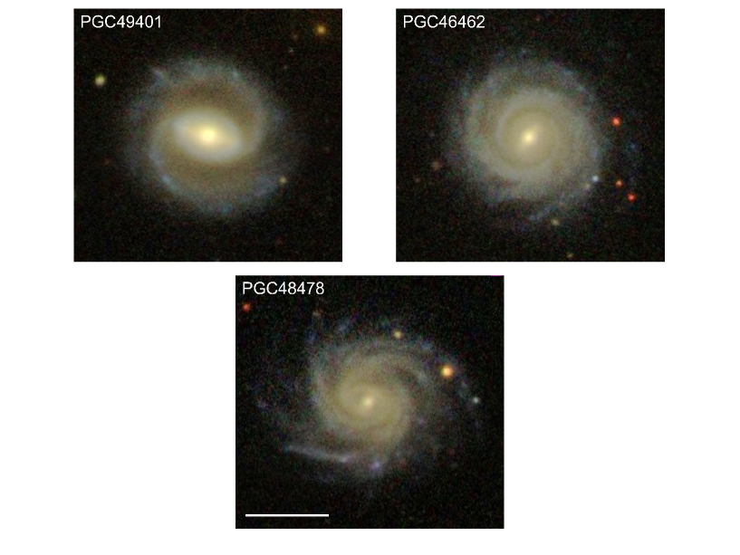 Refer to caption