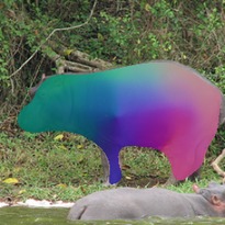 [Uncaptioned image]